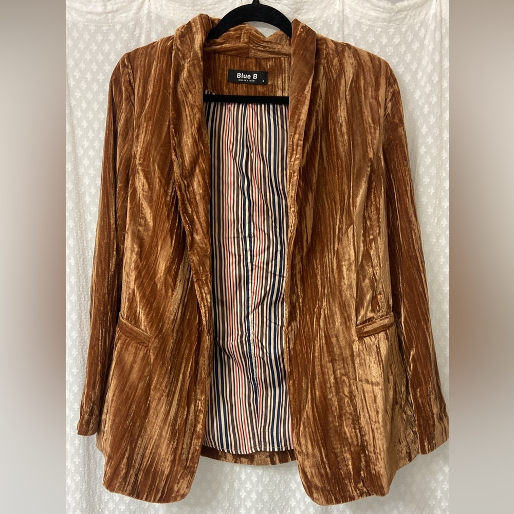 Blu B velvet blazer